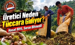 Fındık Üreticisinin TMO Endişesi: “Neden Tüccarın Kapısına Gönderiliyor?”