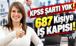 KPSS Şartı Yok: Şehir Hastanelerine 687 Personel Alımı İçin Başvurular Başladı