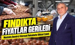 Fındıkta Fiyatlar Geriledi; Mustafa Demirci Küresel Rekabete Dikkat Çekti