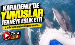 Karadeniz’de Yunuslar Tekneye Eşlik Etti; O Anlar Cep Telefonu Kamerasında