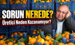 Hasan Karal’dan Sebze-Meyve Fiyatlarına Tepki: “Üretici Kazanamıyor”