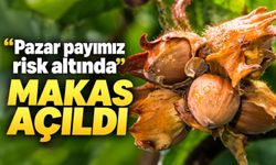 Fındık Fiyatlarında Dikkat Çeken Tablo: Mustafa Demirci Rakipleri Açıkladı