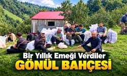 Şalpazarı’nda Alkışlanacak Hareket: Bir Yıllık Fındık Mahsulünü Bağışladılar