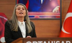 Yeni Parti’de sandık kuruluyor: Suiçmez’den üyelere çağrı