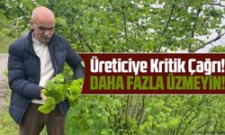 Fındık Fiyatı İçin Kritik Çağrı: Nurittin Karan 5 Acil Tedbiri Tek Tek Açıkladı
