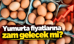 Yumurta Fiyatlarına Zam Gelecek Mi? Üreticiden Dikkat Çeken Açıklama