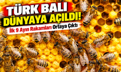 Türk balı dünyaya açıldı!; İlk 9 Ayın Rakamları Ortaya Çıktı