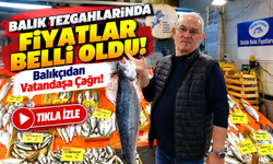 Balık Tezgahlarında Fiyatlar Belli Oldu!; Balıkçıdan Vatandaşa Çağrı!