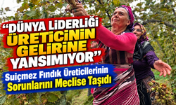 Suiçmez Fındık Üreticilerinin Sorunlarını Meclise Taşıdı; “Dünya Liderliği Üreticinin Gelirine Yansımıyor”