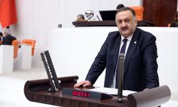 Hasan Karal’dan Dere Yatakları Uyarısı: “Facia Davet Ediliyor”