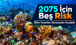 Bilim İnsanları 2075 İçin Beş Küresel Risk Senaryosunu İnceledi