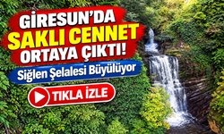 Giresun'da Saklı Cennet Ortaya Çıktı! Siğlen Şelalesi Büyülüyor