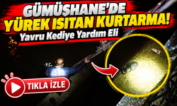 Gümüşhane'de Yavru Kedinin Yardımına Koştular! Kurtarma Mutlu Sonla Bitti