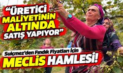 Fındık Üreticisine Fiyat Darbesi! Suiçmez'den TMO'ya Sert Tepki