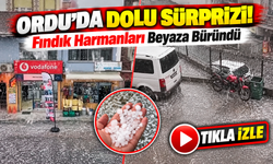 Ordu'da Dolu Sürprizi! Fındık Harmanları Beyaza Büründü