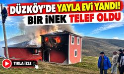 Düzköy’de Yayla Evi Yandı: Bir İnek Telef Oldu