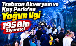 Trabzon Akvaryum Ve Kuş Parkı’na Yoğun İlgi: 195 Bin Ziyaretçi
