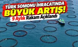 Karadeniz'in Somonu Dünyaya Açıldı! 37 Ülkeden Milyonlarca Dolarlık Talep