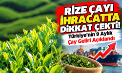 Rize Çayı İhracatta Dikkat Çekti! Türkiye'nin 9 Aylık Çay Geliri Açıklandı