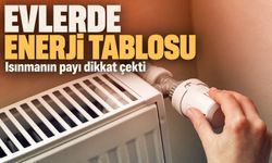 Hanelerde Enerji Tüketimi Açıklandı: Doğal Gaz İlk Sırada