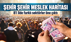 81 ilin öne çıkan meslekleri: Şehir şehir sektör haritası