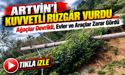 Artvin'de Kuvvetli Rüzgâr Üç İlçeyi Vurdu; Ağaçlar Devrildi, Evler ve Araçlar Zarar Gördü
