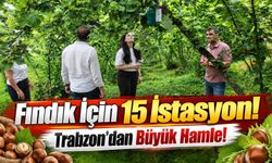 Trabzon'da Kahverengi Kokarcaya Karşı Teknoloji Hamlesi: Üç Ülkede 15 İstasyon Kurulacak