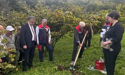 Fındık Üreticisine Yeni Umut! Fındek Projesiyle Verim Artacak
