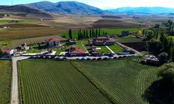 Bayburt'un Köyünden Avrupa'ya Büyük Başarı! Müzeye Yeni Ödül