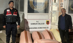 Samsun'da Fındık Dolandırıcılığı İddiası! 2 Şüpheli Yakalandı