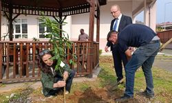 Giresun'da Cumhuriyet İçin Fidan Dikildi! Anlamlı Etkinlik