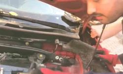 Aracın motoruna giren 3 yavru kedi itfaiye ekiplerince kurtarıldı