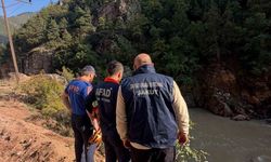 Artvin'de araç dereye düştü: 1 yaralı