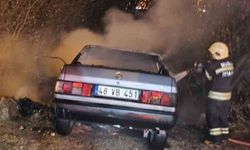 Bodrum'da kaza yapan otomobil alev aldı
