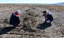 Fasulye hasadında saha kontrolleri yapıldı