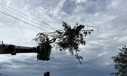 Hopa'da elektrik arıza ekiplerinin rüzgâr mesaisi