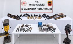 Ordu'da silah kaçakçılığı operasyonunda 2 gözaltı