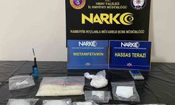 Ordu'da yasaklı madde operasyonunda 1 tutuklama