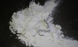 Samsun sahillerine vuran beyaz toz 'guar gum' çıktı: Doğal lif