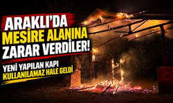 Araklı’da Turup Mesire Alanı’nın Giriş Kapısı Yakıldı