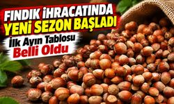 Fındık İhracatında Yeni Sezon Başladı: İlk Ayın Tablosu Belli Oldu