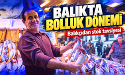 Hamsi Ve Palamutta Bolluk: Balıkçıdan Stoklama Ve Pişirme Önerisi