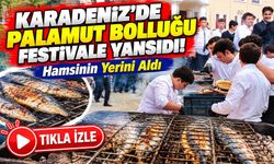 Karadeniz'de Palamut Bolluğu Festivale Yansıdı! Hamsinin Yerini Aldı
