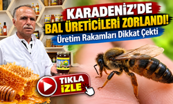 Artvin Balında Büyük Düşüş! Üretim Rakamları Dikkat Çekti