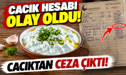 Ankara'da 4 Cacık Hesabı Olay Oldu: Restorana Rekor Ceza!