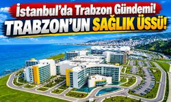 Trabzonlu İsmet Hacısalihoğlu Bakan Memişoğlu ile Buluştu! Şehir Hastanesini Konuştular
