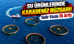 Su Ürünlerinde Karadeniz Rüzgârı! 9 Ayda 31 Ülkeye Su Ürünleri Satıldı