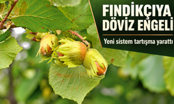 Döviz dönüşüm desteğinde yeni formül fındık sektörünü zorlayabilir