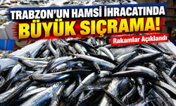 Trabzon'un Hamsi İhracatında Büyük Sıçrama! Rakamlar Açıklandı