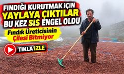 Fındık Üreticisi Yağmurdan Kaçtı Sise Yakalandı; Fındık Üreticisinin Çilesi Bitmiyor